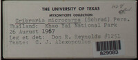 Image Associated With the Occurence